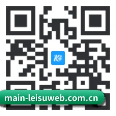 iOS 系统版 二维码（leisu）